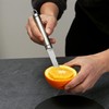 Setaria Viridis Stainless Steel Serrated Grapefruit Knife, 3.9 inches, Silver,