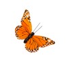 YCHTEWY Monarch Butterfly Decor Feather Butterfly Decorations Set of 12