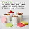 Tovolo Sweet Treat, Reusable Ice Cream Container for Homemade Ice