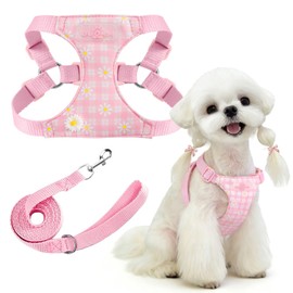 Cute Small Dog Harness and Leash Set Pink Floral Daisy Puppy Harness Vest Adjustable Step in Spring Summer Soft Mesh Sunflower Girl Dog Harnesses for Chihuahua Yorkie Pomeranian Shih Tzu, XXS