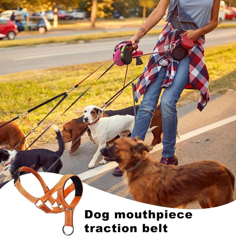 2Pcs Muzzle Leash for Heavy Pullers, Dog Over Mouth Training