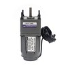 110V AC Gear Motor with Speed Controller, Variable Speed Gear