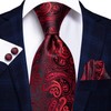 Hi-Tie Lot 5 Pcs Gift Box Mens Tie Set Necktie