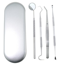 MTQY 1 Set Stainless Steel Dental Tool Oral Care Dental Cleaning Tool Tartar Removal Tool Scraper Pet Teeth Cleaning Tool