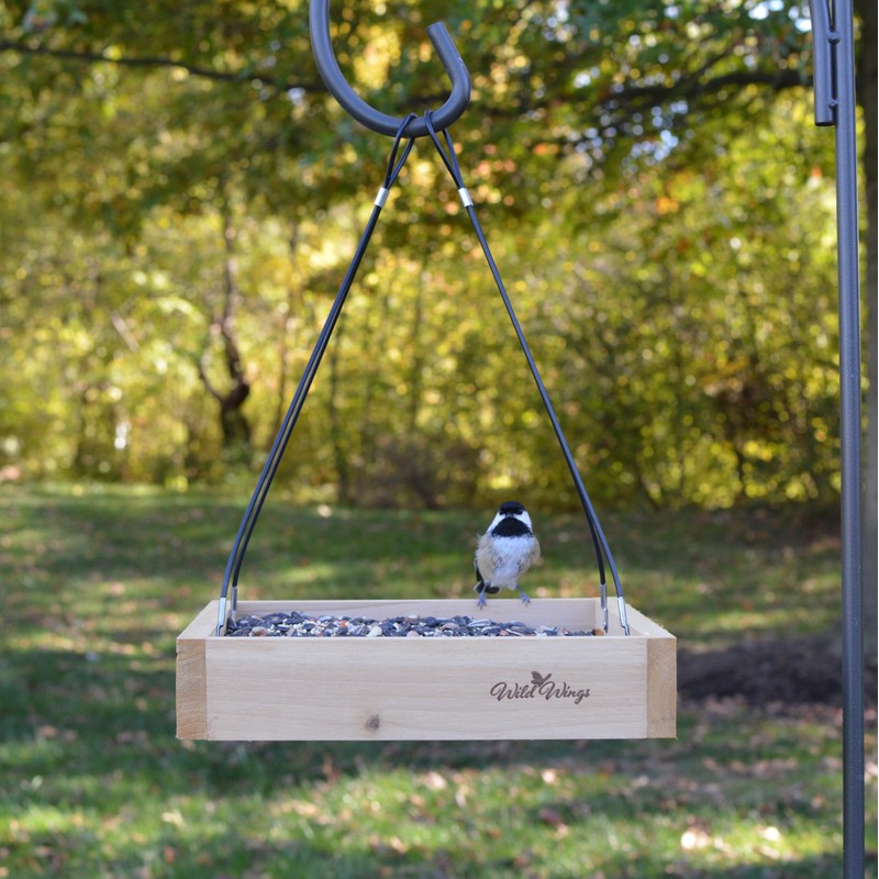 Wild Wings WWCF23 Rot Resistant Cedar Hanging Tray Bird Feeder