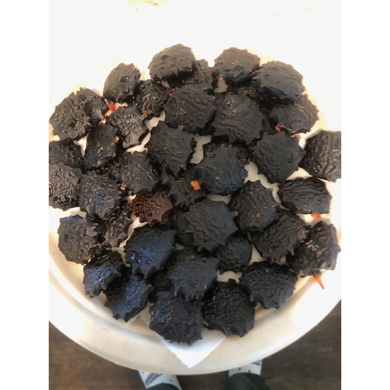 American Seed 10 Rare Gac Melon Seeds - Bright Spiky