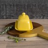 Now Designs Stoneware Rectangle Butter Dish with Lid, Lemon Yellow