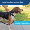 PetSafe 3 in 1 Dog Harness - No Pull Solution