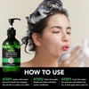 ALIVER Jamaican Black Castor Oil Shampoo and Conditioner Set Curly