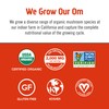 OM MUSHROOM SUPERFOOD OM MUSHROOM SUPERFOOD Morning Energy Blend Mushroom
