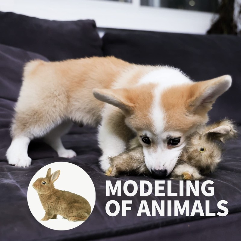 ALL FOR PAWS Pet Plush Rabbit Toys with Squeaker, Durable