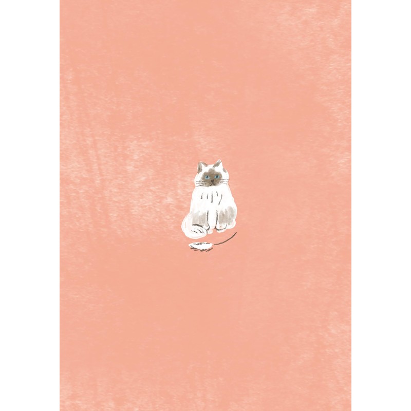 Furukawa Paperwork Book Cover HONTOWATASHI Cat QE252 Mino Washi Book