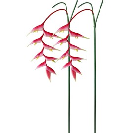 AtHomeYuyue 35" Artificial Heliconia 2pcs Pink Faux Bird of Paradise Fake Tropical Flowers for Vase Bouquets Home Office Wedding Decor(Pink)