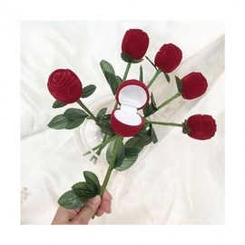 One Rose Ring Case 100 Day Confession Proposal