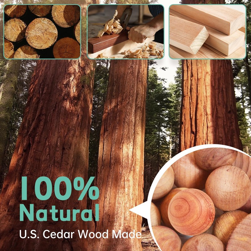 Cedar Blocks for Clothes Storage 100 Pack, 100% Natural Aromatic