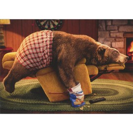 Avanti Press Bear Asleep on Recliner with Paw in Bag of Chips Funny/Humorous Masculine Birthday Card