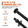 SPARKWHIZ 1/2 x 6 Inch Carriage Bolt Kit, Rust Resistance