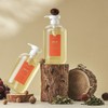 Bomb Body Wash 1000g Bom Foret Hexenal Nonenal Body Odor Removal Elderly Odor Removal / 밤바디워시 1000g 봄포레 헥세날 노네날 몸냄새제거 노인냄새제거
