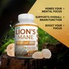 Focus Fast Lion's Mane Brain Mushroom Supplement (150 count) -