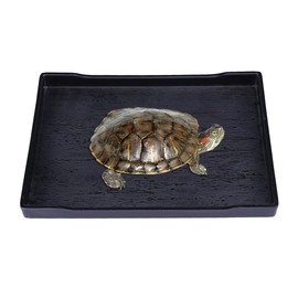 POPETPOP Reptile Bowl Large Food and Water Bowl Also Suitable for Bath Accessories