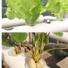 INTBUYING Hydroponic 36 Sites Grow Kit Grow System for Leafy