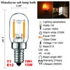 LiteHistory E12 1 watt Equal 15w Night Light Bulbs 150lm