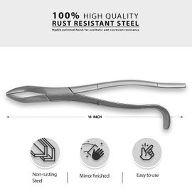 SURGICAL ONLINE 11" Wolf Tooth Extraction Forceps Hand Crafted Stainless Steel Dental Equine