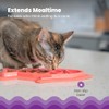 Petstages Fishie Fun Feed Mat - Comedero Lento para Gatos