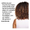 L'oréal Professionnel Mascarilla Absolut Repair 250 Ml