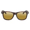 Eagle Eyes Charlie Polarized Sunglasses - Tortoise