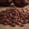 Cacao Lavado En Grano | Santo Cacao | 2kg Pack