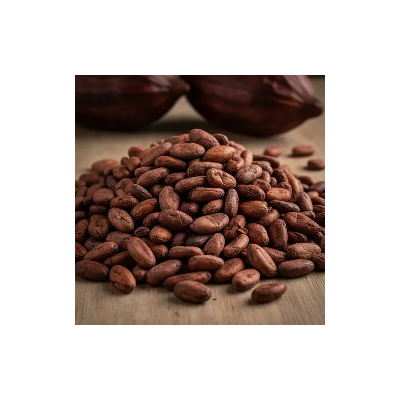 Cacao Lavado En Grano | Santo Cacao | 2kg Pack