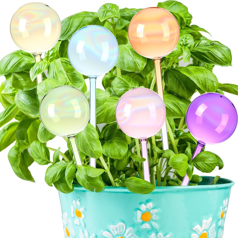 Maxdot 6 Pcs Large Plant Watering Globes Glass Automatic Self