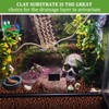 Riare 2LBS Expanded Clay Balls Terrarium Substrate for Reptiles -