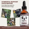 MycoDog Chaga Mushroom Supplement for Dogs - Immune Defense &