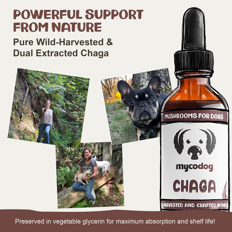 MycoDog Chaga Mushroom Supplement for Dogs - Immune Defense &
