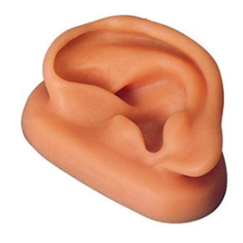 3B Scientific 3B Ear set, one left and right ear