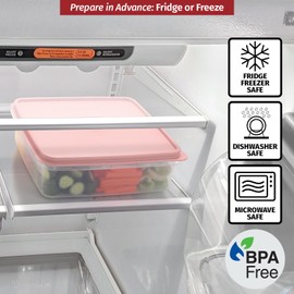 SIGNORA WARE Plastic Storage Container with Lid C 3L Cupcake Carrier C Leakproof Cookie Storage Container Airtight C BPA-Free Plastic Container with Lid for Food Storage, Meal Prep, Leftovers, Cupcakes