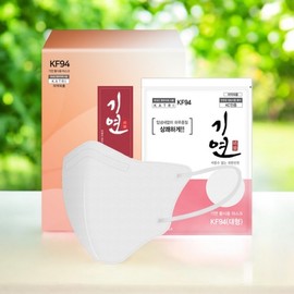 Giyeon KF94 Bird Beak Fine Dust Mask 30 Count