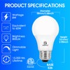 E ENERGETIC LIGHTING Dimmable LED Light Bulbs, 60W Equivalent 5000K