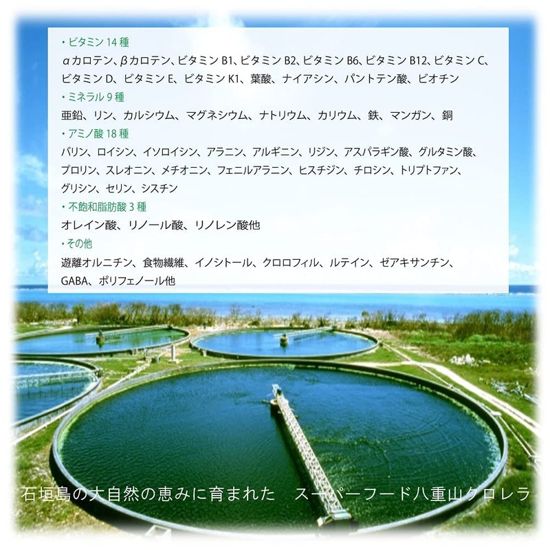 八重山クロレラ【ミニボトル300粒入】無添加 100％ ヤエヤマクロレラ [ ピュアクロレラ]