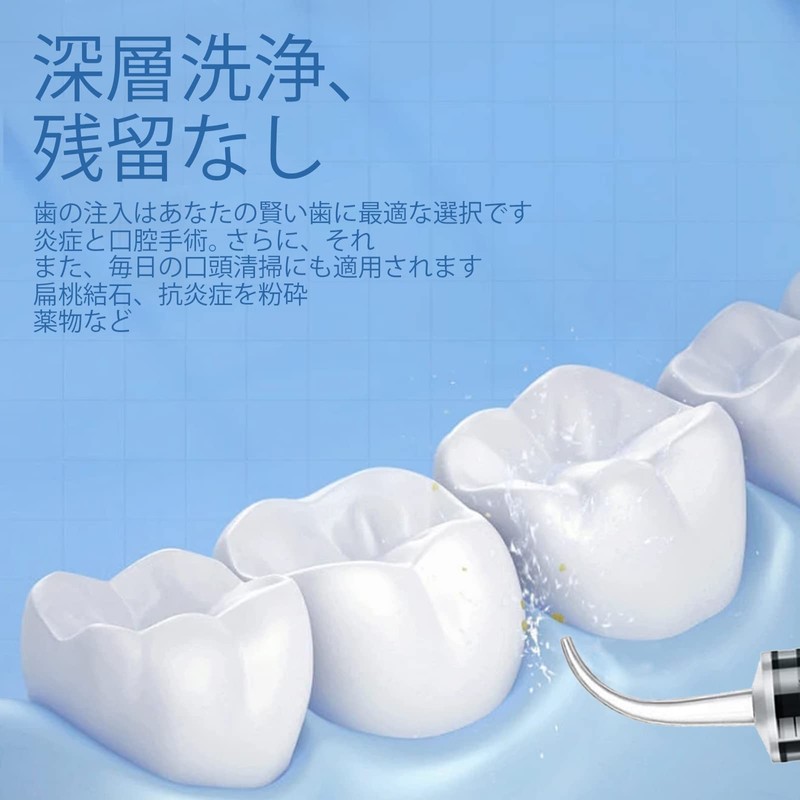 ペット用シリンジ 10本セット 12ml 猫 犬用品 給水 給食 投薬器 流動食 哺乳器