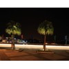 Brilliant Brand Lighting 24 Inch x 3/8 Inch Rope Light