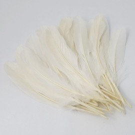 Feather Shower White Approx. 7.9 inches (20 cm), 30 Pieces, Goose Feathers, Natural Feathers Decoration, Cosplay
