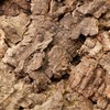 USCAPE Natural cork pieces for terrarium and paludarium, untreated cork