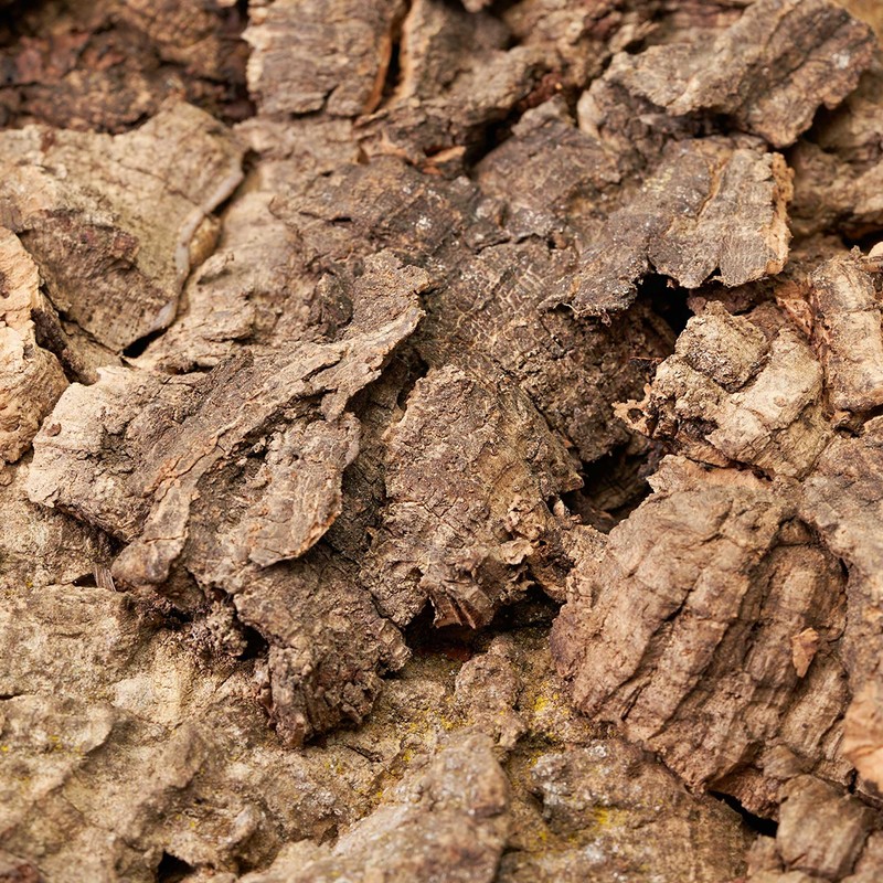 USCAPE Natural cork pieces for terrarium and paludarium, untreated cork