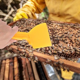 Milisten Beekeeping Supplies - Beehive Tool - 1 Piece Honey Scraper - Beekeeping Equipment - Tools - Durable