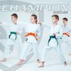 RingMaster Sports Grading Belts 9 Plain Colour for Karte Judo