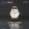 Clefer SD-AM336-WTG Seldika Analog Wristwatch, White Dial, PU Leather Strap,