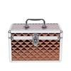 Aluminium Hard Make Up Travel Storage Box Cosmetic Beauty Vanity
